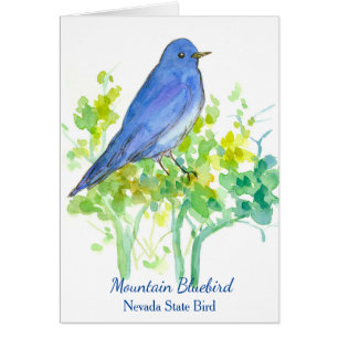 Mountain Bluebird Nevada State Bird Blank Cards