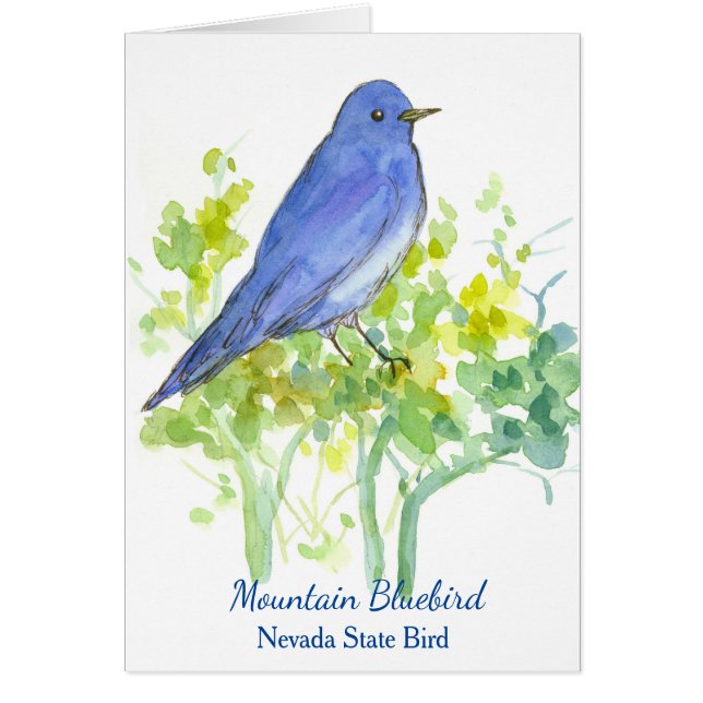 Mountain Bluebird Nevada State Bird Blank Cards (Front)