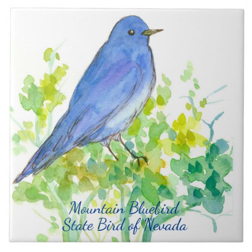 Mountain Bluebird Nevada State Bird Watercolor Ceramic Tile