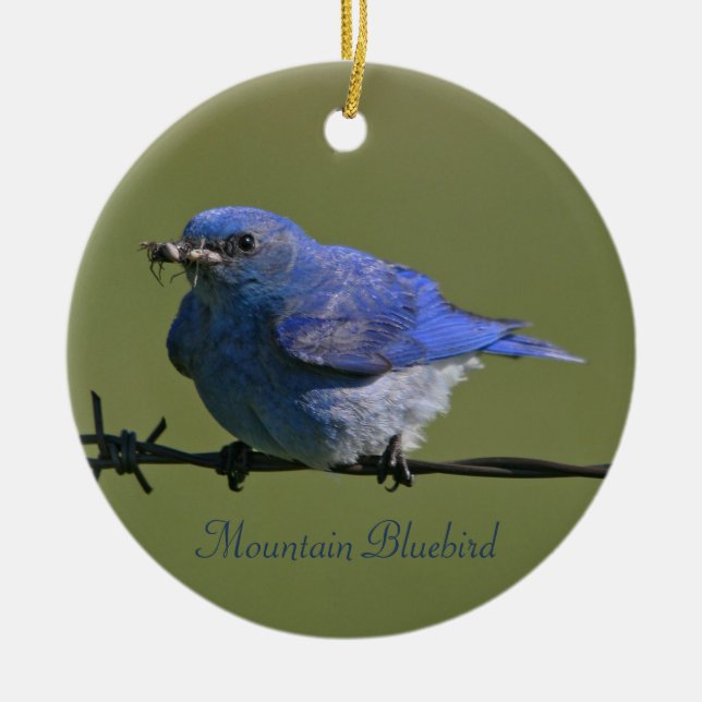 Mountain Bluebird Photography Round Ceramic Ornament (Front)