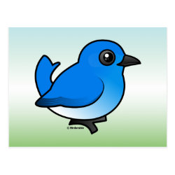 Mountain Bluebird Postcard