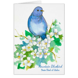 Mountain Bluebird State Bird of Idaho Blank Cards