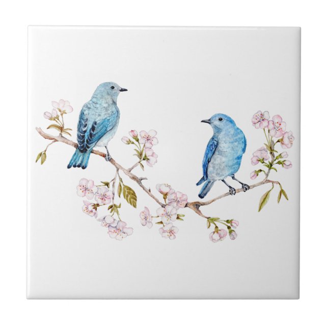 Mountain Bluebirds on Sakura Branch Ceramic Tile (Front)