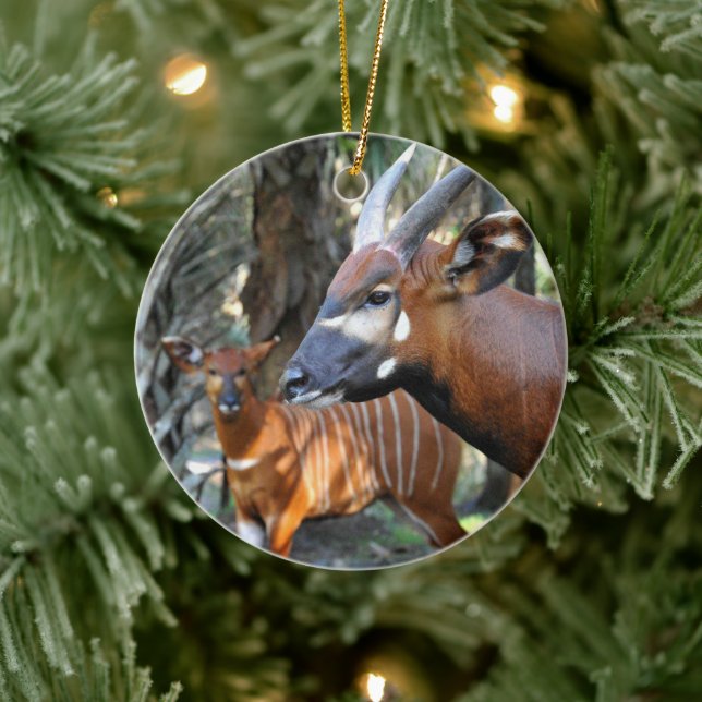 Mountain Bongo and Calf Ceramic Ornament (Tree)