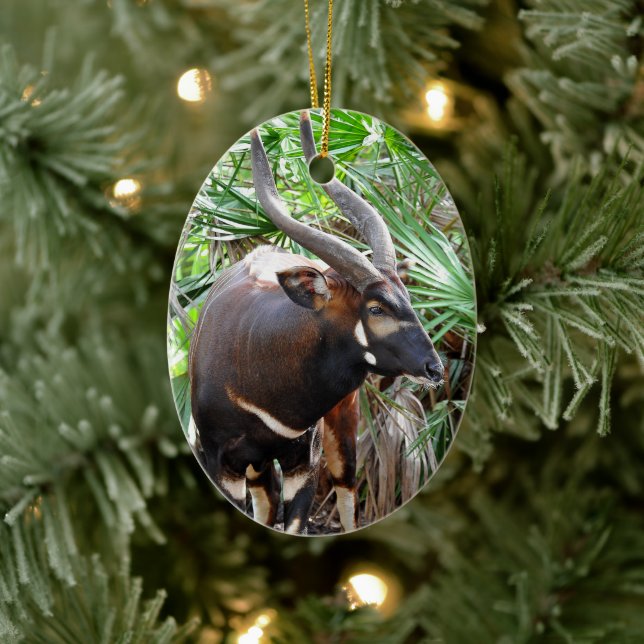 Mountain Bongo Antelope Ceramic Ornament (Tree)