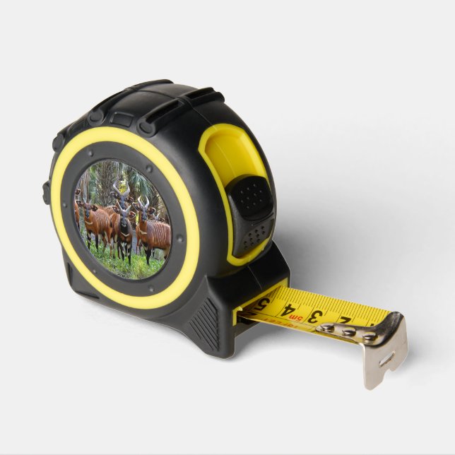 Mountain Bongo Antelope Tape Measure (Angle)
