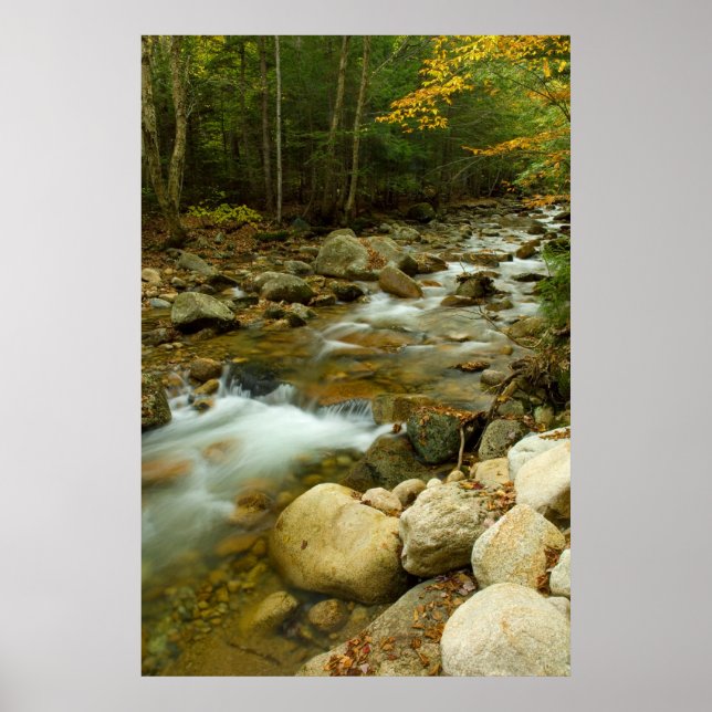 Mountain Cascade Print (Front)