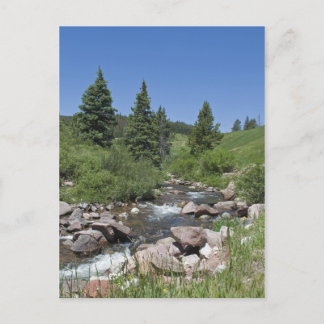 Mountain Colorado Stream Postcard