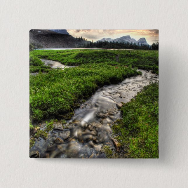 Mountain creek descends through meadow toward button (Front)