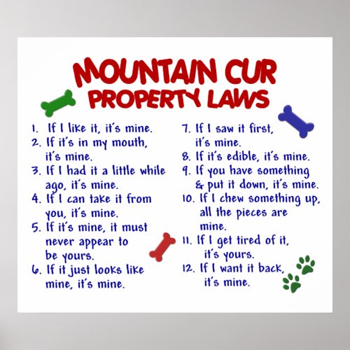 MOUNTAIN CUR PL2 POSTER