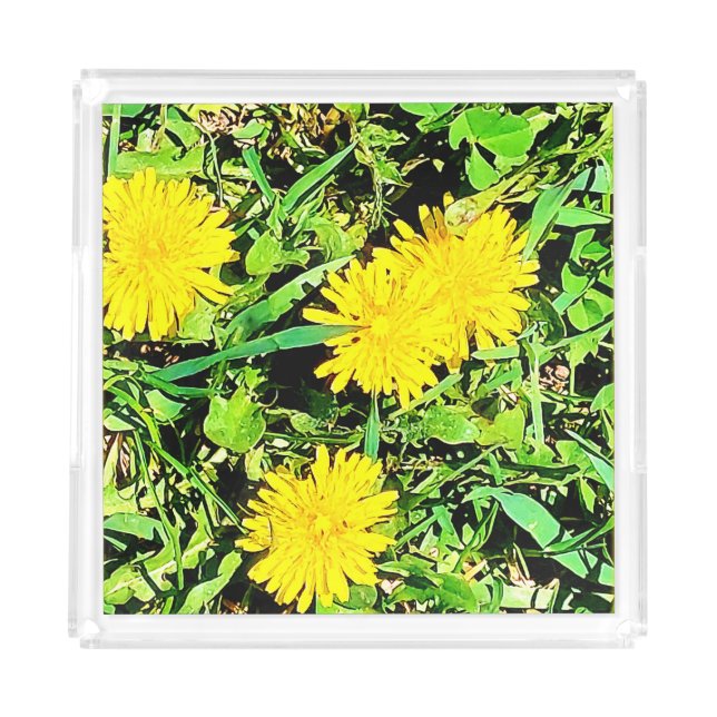 Mountain Dandelions Photo. Buy Now Acrylic Tray (Front)