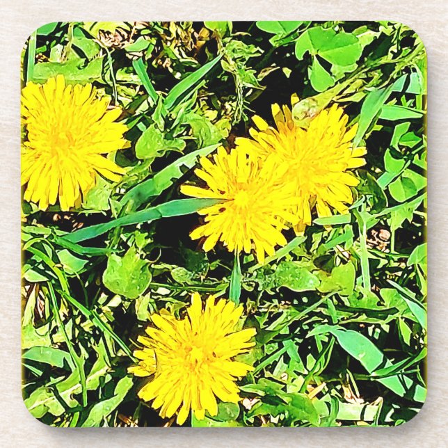 Mountain Dandelions Photo. Buy Now Beverage Coaster (Front)