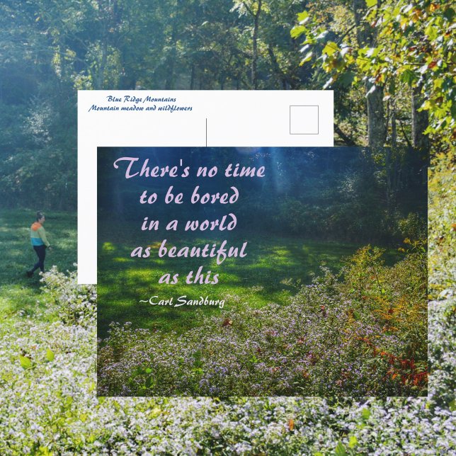 Mountain Field Blue Ridge Mountains Sandburg Quote Postcard (Creator Uploaded)