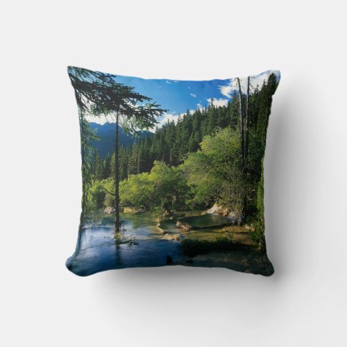Mountain Forest Lake Throw Pillow