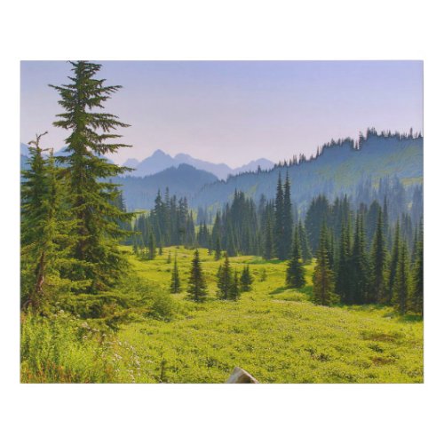 Mountain  Forest Landscape Washington State Faux Canvas Print
