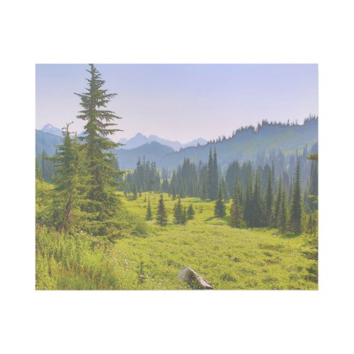 Mountain  Forest Landscape Washington State Gallery Wrap