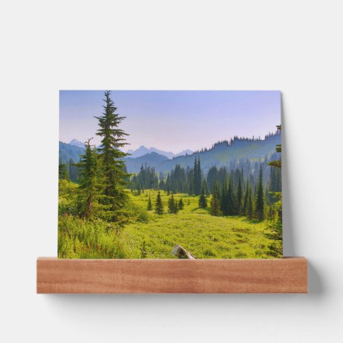 Mountain  Forest Landscape Washington State Picture Ledge