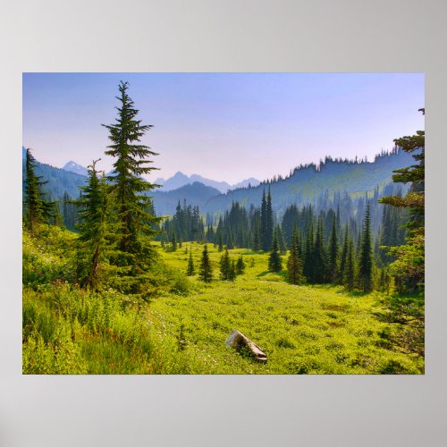Mountain  Forest Landscape Washington State Poster