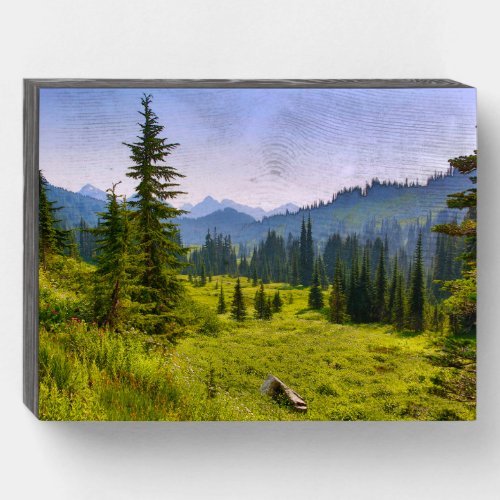 Mountain  Forest Landscape Washington State Wooden Box Sign