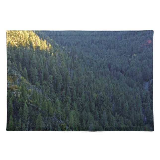 Mountain forest pass placemat (Front)