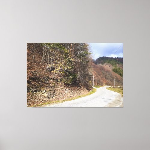 Mountain Forest Road - Wild Nature Romania Canvas Print