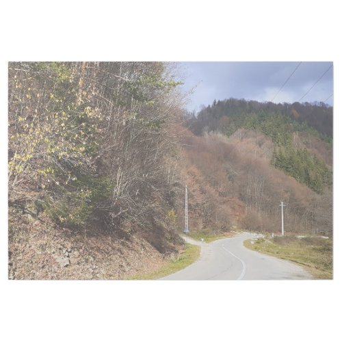 Mountain Forest Road - Wild Nature Romania Gallery Wrap