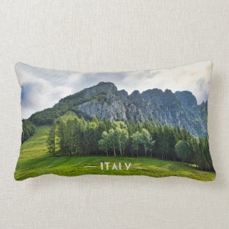 Mountain forest with pines in northern Italy