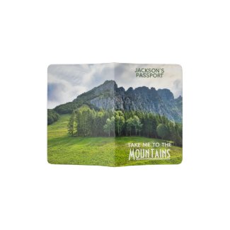 Mountain forest with pines in northern Italy