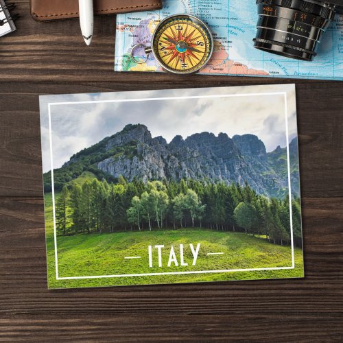 Mountain forest with pines in northern Italy Postcard