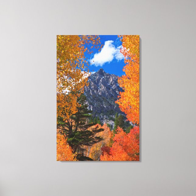 Mountain framed in fall foliage, CA Canvas Print (Front)