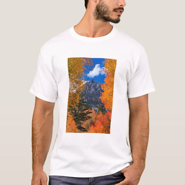 Mountain framed in fall foliage, CA T-Shirt (Front)
