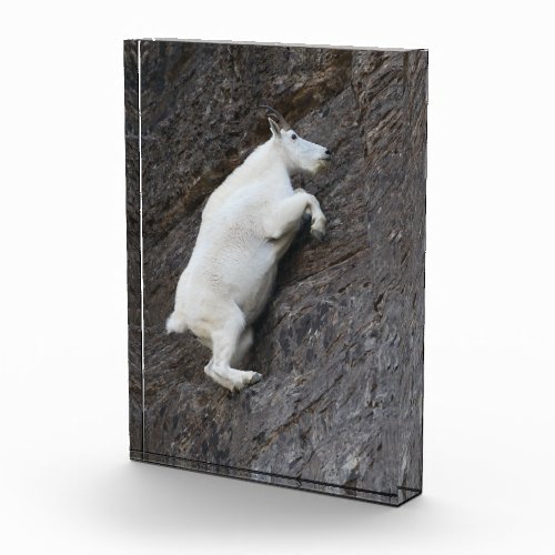 Mountain Goat Award