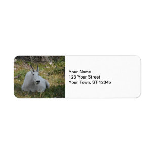 Mountain Goat- Glacier National Park Label