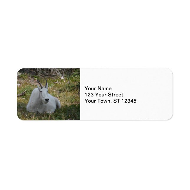 Mountain Goat- Glacier National Park Label (Front)