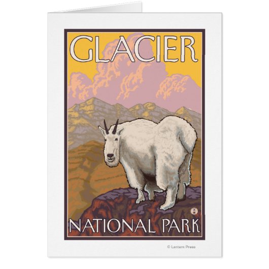 Mountain Goat - Glacier National Park, MT Cards (Front)