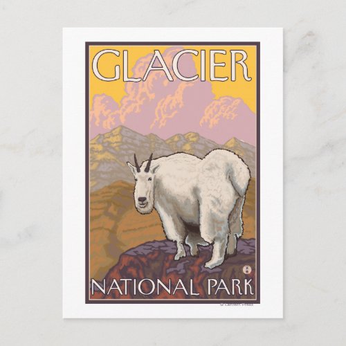 Mountain Goat _ Glacier National Park MT Postcard
