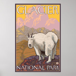 Mountain Goat - Glacier National Park, MT Poster