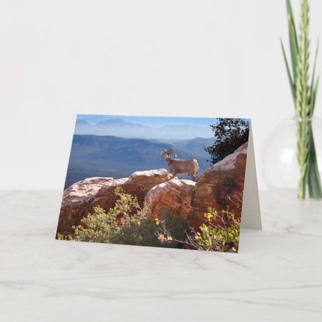 Mountain Goat Greeting Card (Front)