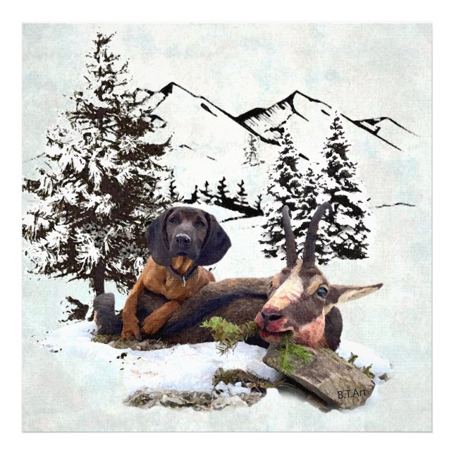 Mountain goat hunting adventure   photo print (Front)