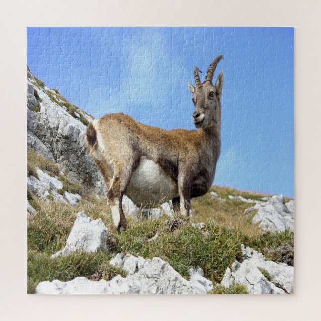 Mountain Goat Jigsaw Puzzle (Vertical)