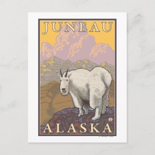 Mountain Goat _ Juneau Alaska Postcard