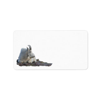 mountain goat label