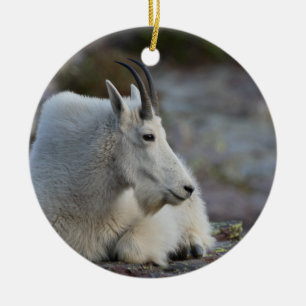 mountain goat resting ceramic ornament
