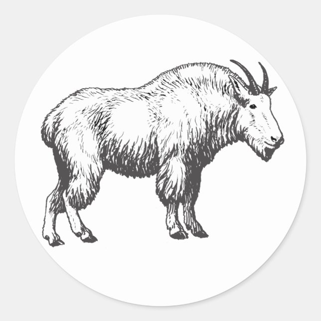 Mountain Goat Stickers (Front)
