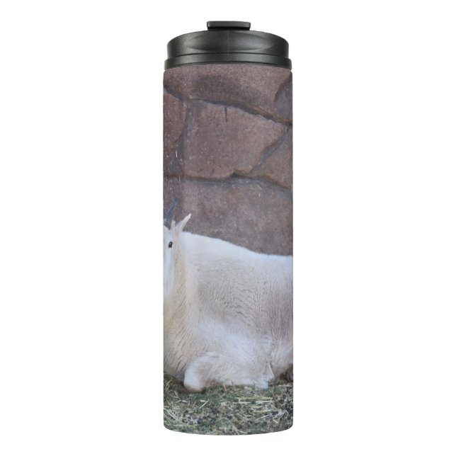 Mountain Goat Thermal Tumbler (Front)