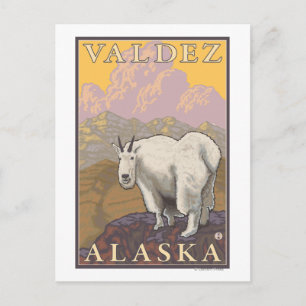 Mountain Goat - Valdez, Alaska Postcard