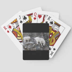 mountain goat with baby poker cards
