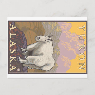 Mountain Goat - Yukon, Alaska Postcard