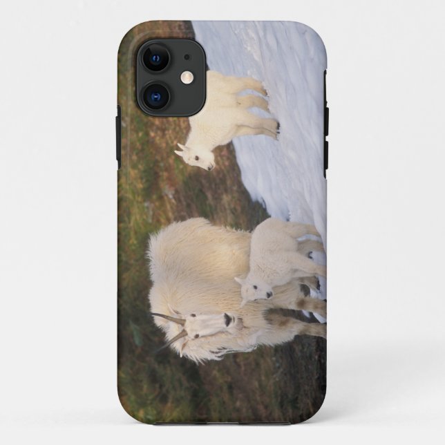 mountain goats Case-Mate iPhone case (Back)
