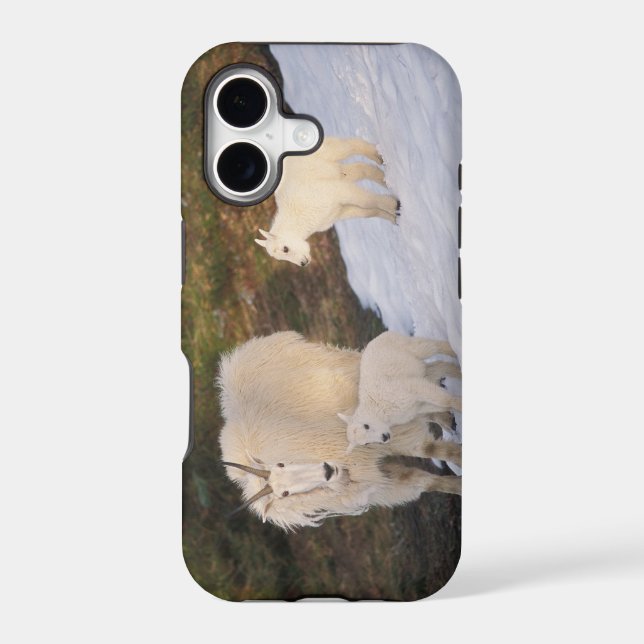 mountain goats Case-Mate iPhone case (Back)